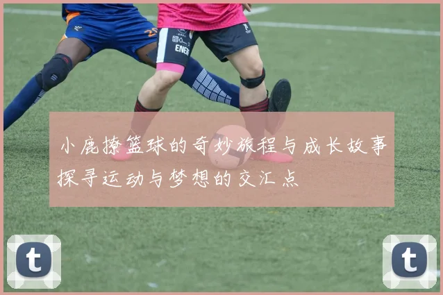 小鹿撩篮球的奇妙旅程与成长故事探寻运动与梦想的交汇点