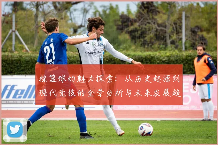 棕篮球的魅力探索：从历史起源到现代竞技的全景分析与未来发展趋势