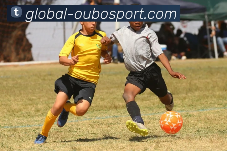 欧博体育APP 封面图